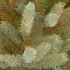 Unlit Norway Fir Artificial Christmas Tree - National Tree Company - 3 of 4