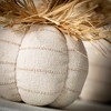 5.5"H and 9.25"H Sullivans Plush Pumpkin With Raffia - Set of 2, Fall Decor, White - 2 of 3