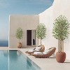 Whizmax Tall Faux Olive Tree, Realistic Tall Silk Olive Trees with Branches,Fruits and Dried Moss,for Modern Home Office Living Room Decor Indoor - 2 of 4