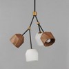 Maxim Lighting Akimbo 4 - Light Pendant in  Dark Bronze/Antique Brass - 3 of 4