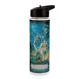 Willow Heroes And Villains Group Pose 24 Oz Plastic Water Bottle