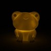 Paint Your Own Light Up Figural Frog - Bullseye's Playground™ - 3 of 3