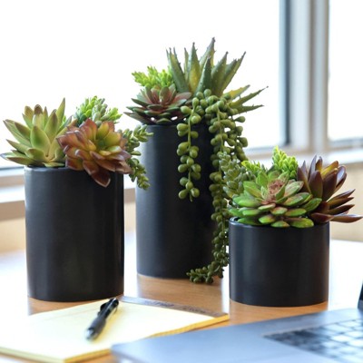 BRINJOY Artificial Succulents (3-Pack) | Indoor Fake Succulents with Black Pots for Desk, Bathroom & Office Decor
