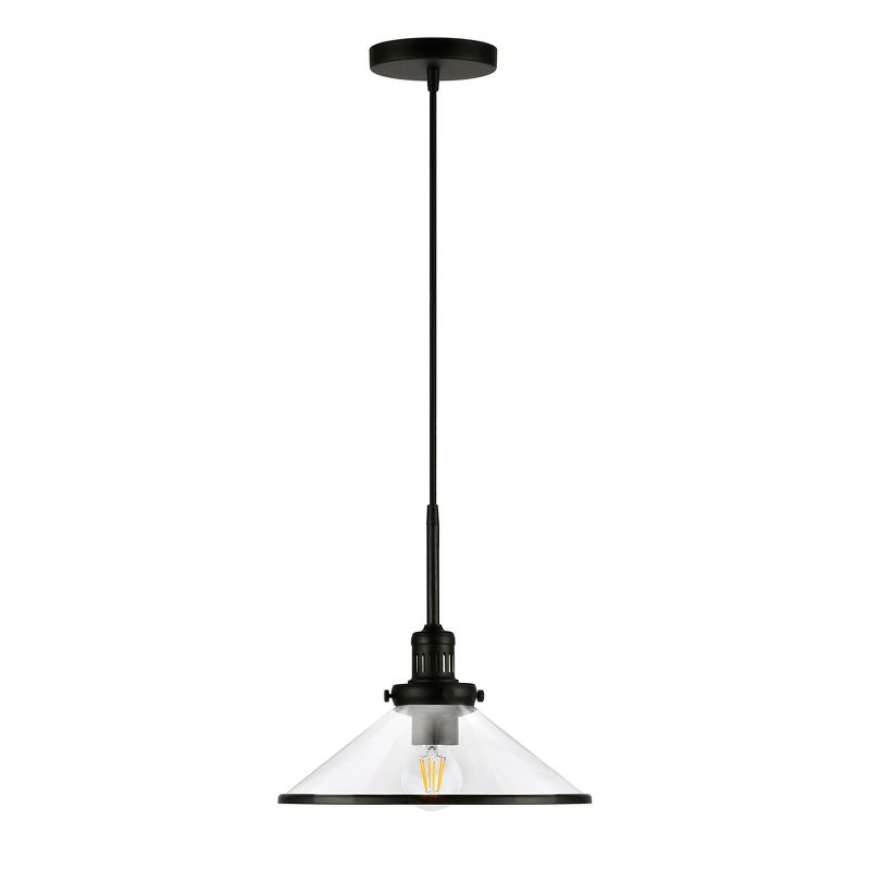 Hampton &#38; Thyme 12.25&#34; Wide Pendant with Glass Shade Blackened Bronze/Clear, 1 of 14