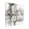 Trademark Fine Art -Chris Paschke 'Full Circle I Gray' Canvas Art - 4 of 4