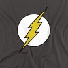 Men's The Flash Lightning Bolt Logo T-Shirt - 2 of 4