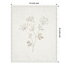 Amanti Art Plants from the Meadow IV by Sarah Adams Canvas Wall Art Print Framed 16 x 20-in. - 4 of 4