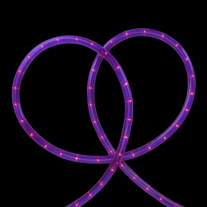 Northlight Incandescent Flexible Outdoor Christmas Rope Lights Clear - 18' Purple - 1 of 3