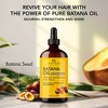 Botanic Hearth 100% Pure & Unrefined Batana Oil for Hair Growth - 4 fl oz - 4 of 4