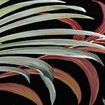 simone black tropical