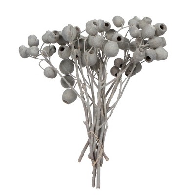 Vickerman Natural Botanicals 11" x 4" Bellgum Branch, 5-7 Bells, Ivory Frosted, 10 stems per unit