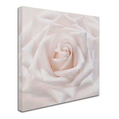 Trademark Fine Art -cora Niele 'soft White Rose' Canvas Art : Target