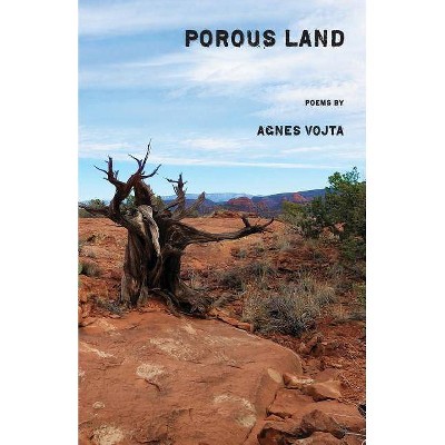 Porous Land - by  Agnes Vojta (Paperback)