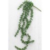 Artificial Necklace Fern Succulent 29"L Plastic & Wire Hanging Greenery – Realistic Faux Plant (Set of 6) By Kalalou - 2 of 3