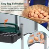 KTMBDW Chicken Nesting Box 4 Holes,Nesting Boxes for Chickens, Nesting Boxes for Laying Eggs, with Chicken Perch for 4 Chickens Up to 16 Chicken,Green - 4 of 4
