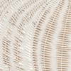 Saro Lifestyle Fall Harvest Rattan Pumpkin Placemat (Set of 4) - 4 of 4