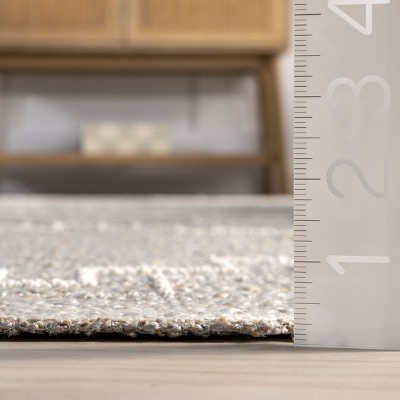 Alani Beige and Gray Synthetic 4' x 6' Area Rug