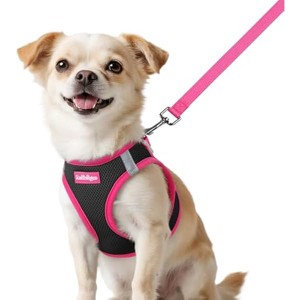 rabbitgoo Dog Harness Small Sized and Leash Set, Puppy Vest for Small Dogs, Black & Rose Red, XXS - 1 of 1