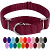 Country Brook Design Martingale Heavyduty Nylon Dog Collar - 4 of 4