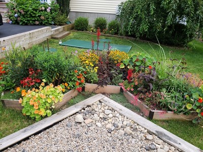 Guest review image 1 of 1, zoom in