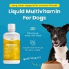 Liquid Multivitamin for Dogs W/ Probiotics, 8 in 1 Vitamins- Immune Support, Energy & Digestion, High Absorption Liquid Supplement, Made in USA, 32 oz - 4 of 4