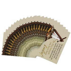 Dicksons by His Wounds You Have Been Healed Brown Cross 3 x 2 Paper Itty Bitty Bookmark Pack of 24 - 1 of 2