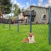 Metal Fence Post,Pack of 10 U Post for Wire Fence,No Dig Steel U Posts Fencing,Wire Mesh Fences Poles Sign Outdoor Light Duty for Yard,Garden - 4 of 4