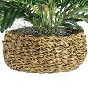 14" x 15" Artificial Palm Plant in Low Basket - LCG Florals: Indoor Polyester Greenery, Round Wicker Basket - image 3 of 4