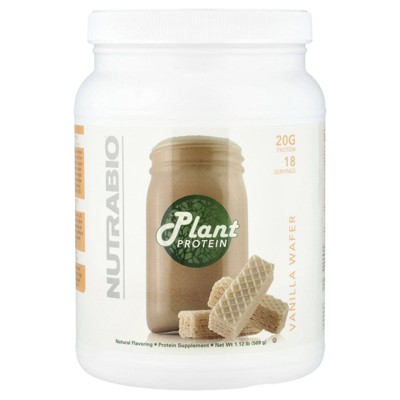 NutraBio Plant Protein – Complete Amino Acid Profile – 20G of Protein per Scoop – Gluten and Dairy Free, Zero Fillers, Naturally Sweetened, Non-GMO,