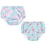 Hudson Baby Infant and Toddler Girl Swim Diapers, Flamingos