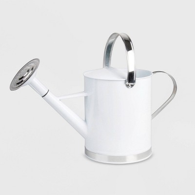 10" Zinc Metal Water Can Silver - Esschert Design