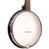 Gold Tone AC-12 12" Fretless 5-String Openback Banjo Matte Black - 3 of 4