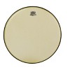 Remo Renaissance Ambassador Tom Batter - 2 of 4