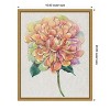 Amanti Art Multicolor Floral Peony I by Tim O'Toole Canvas Wall Art Print Framed 16 x 20-in. - 4 of 4