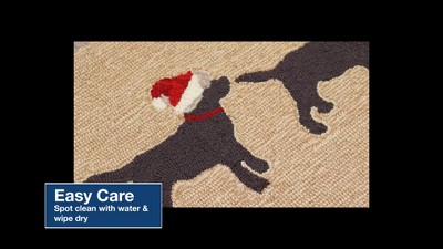 Liora Manne Frontporch Pet Indoor/Outdoor Rug.., 2 of 10, play video