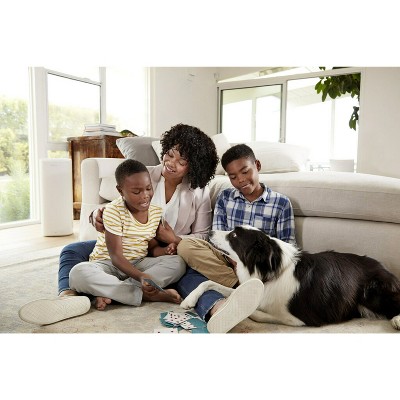 Filtrete 20x25x4 MERV 12 Deep Pleat Air Filter