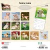 BrownTrout Yellow Labrador Retrievers 2026 12"x24" Hanging Square Wall Calendar Plastic-Free - 2 of 4
