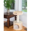 Armarkat Premium Scots Pine 29-Inch Real Wood Cat Tree with Perch and Condo - 3 of 4