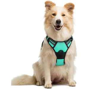 rabbitgoo Dog Harness No Pull with 2 Leash Clips, Control Handle for Medium Sized Dogs, Turquoise, M - 1 of 1