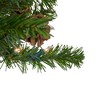 Northlight 3' Pre-Lit Canadian Pine with Pine Cones Artificial Christmas Tree - Clear Lights - image 3 of 4