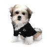 Doggie Design Solid Dog Polo Shirt - Jet Black - 3 of 3