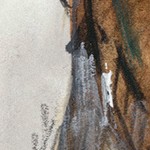montalcino elm