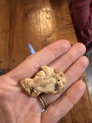 Guest review image 1 of 1, zoom in