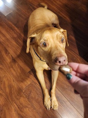 Guest review image 2 of 5, zoom in