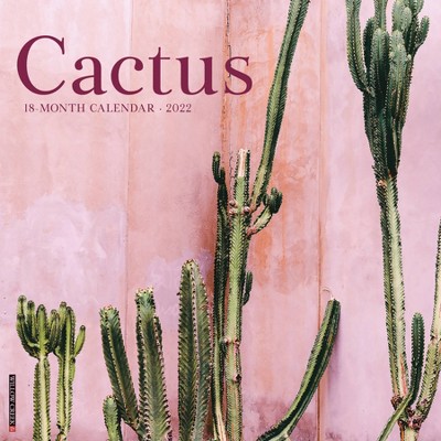2022 Wall Calendar Cactus - Willow Creek Press