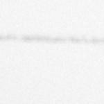 soft stitch stripe terracotta