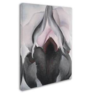 Trademark Fine Art -Georgia O'Keefe 'Black Iris' Canvas Art - 1 of 3