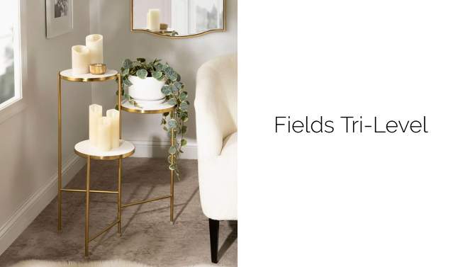 Kate and Laurel Fields Tri-Level Metal Plant Stand, 2 of 9, play video