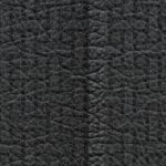 sporting kansas city