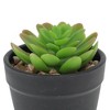 Unique Bargains Artificial Plants Plastic Green 2.76"x2.76"x3.54" 1 Pcs - 4 of 4